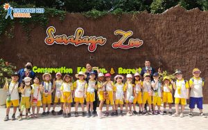 A Day in the Zoo
